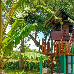 Pride Rock & Tree House Sigiriya