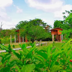 Sigiri Royal Point Tree House Hotel